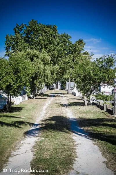 Dirt road path with trees and headstones on each side.