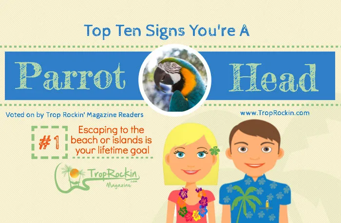parrot-head-top-ten-signs