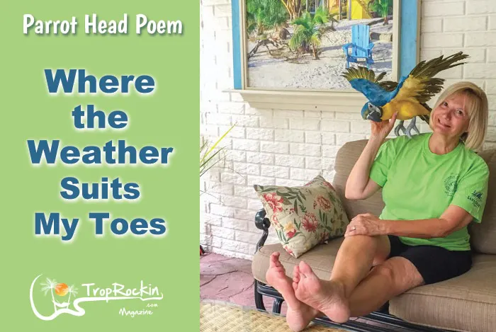 Parrot Head Poem