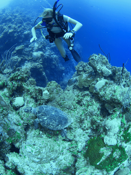 Grand Cayman Scuba Diving