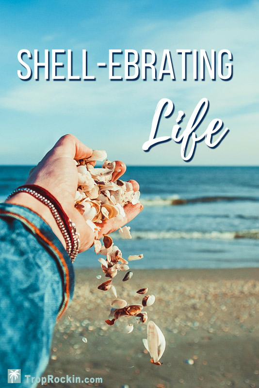 Shell-Ebrating Life Beach Caption