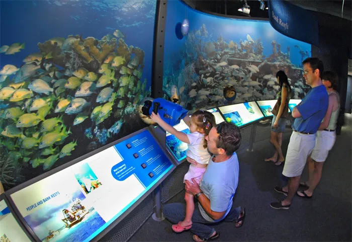 Parent with Child looking at fish in aquarium at the Florida Keys Eco-Discovery Center