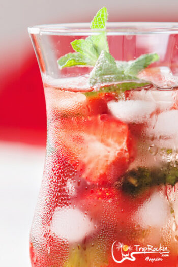 Strawberry Mojito Close Up Look at the Drink