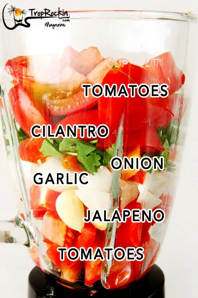 salsa ingredients in a blender