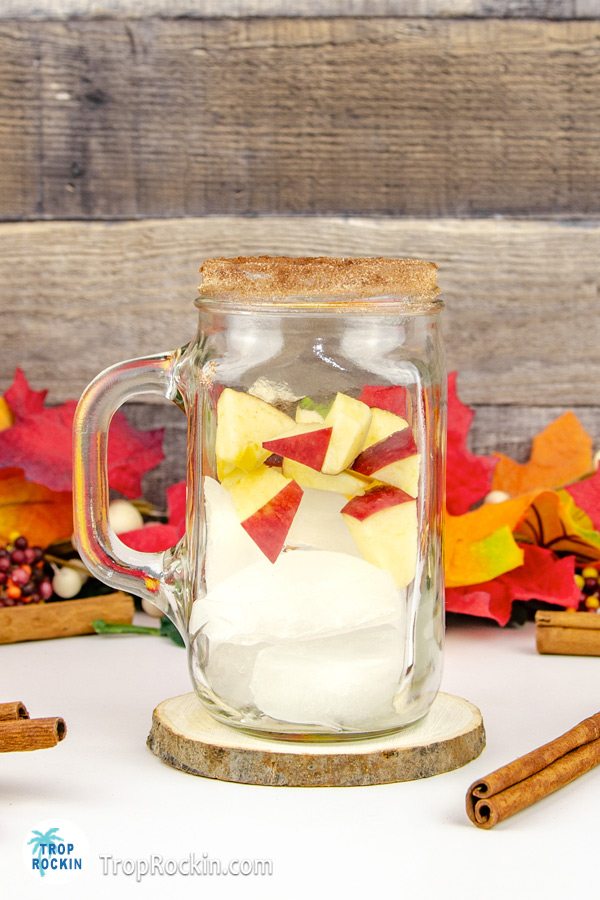 Glass half filled with ice and added apple chunks.