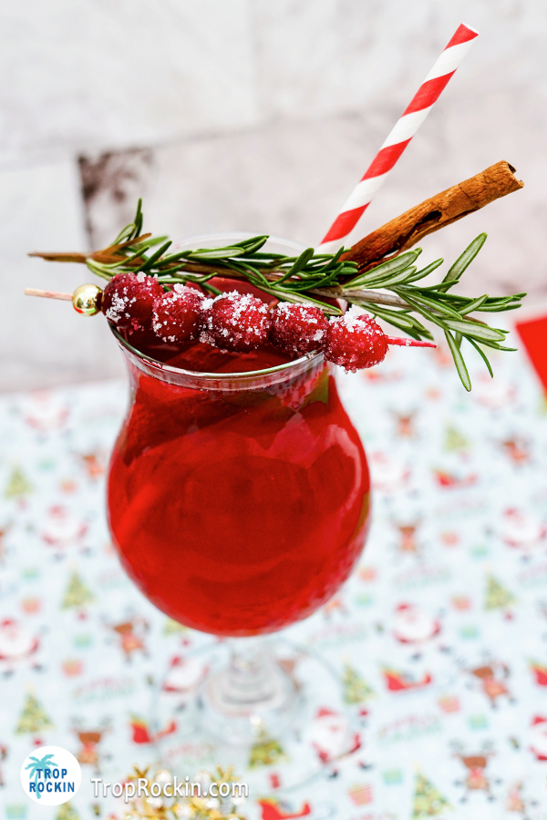 Cranberry rosemary drink with cranberries, cinnamon stick and rosemary garnishes.