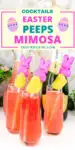 Easter mimosa with peeps garnish with text overlay of title for posting to social media.