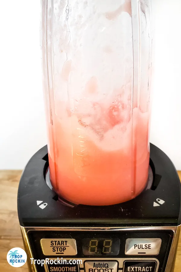 Watermelon vodka slush in the blender.
