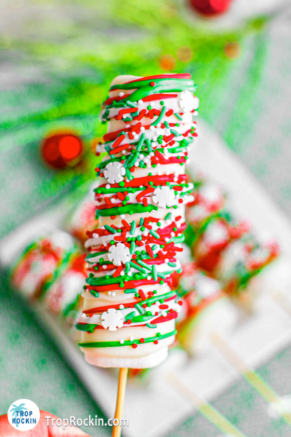 Holding a Christmas marshmallow pop up close.