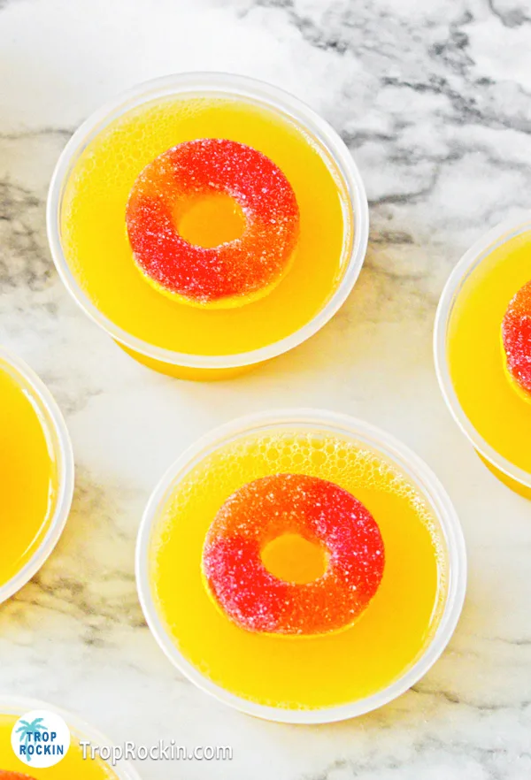 Up close look at two fuzzy navel jello shots.