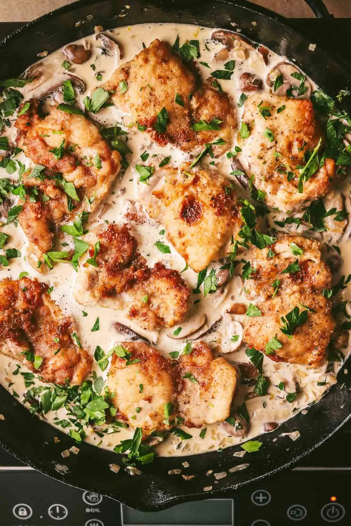 Champagne chicken with a creamy sauce and mushrooms in a skillet.